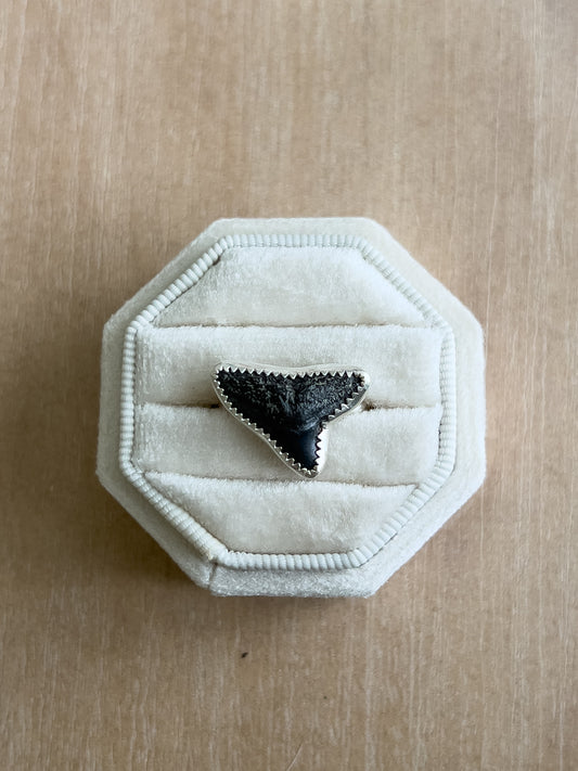 Shark Tooth Ring 9