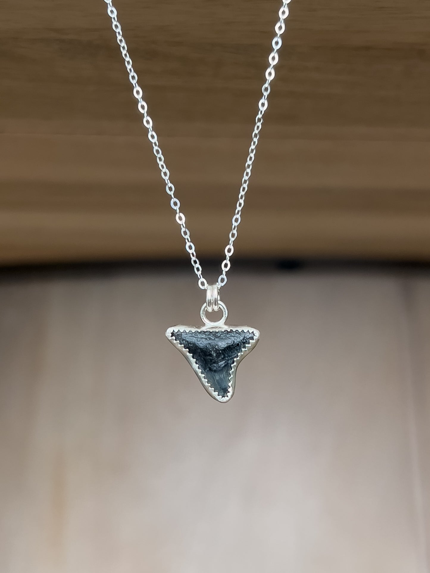 Shark Tooth Necklace