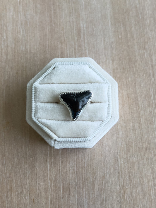 Shark Tooth Ring 8