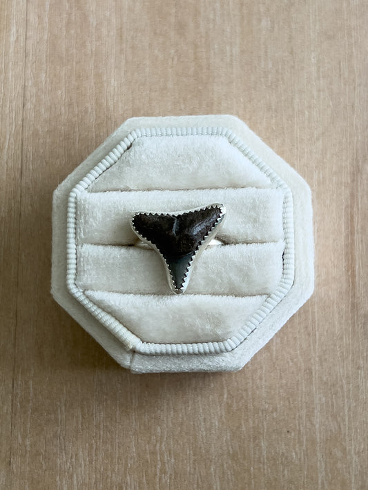 Shark Tooth Ring 7